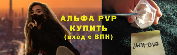 хмурый Верея