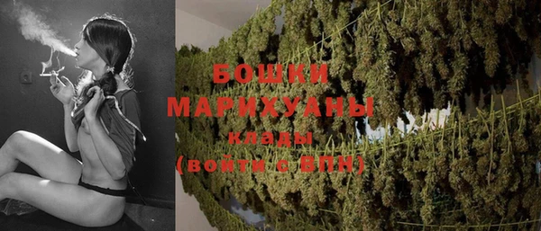 дурь Надым