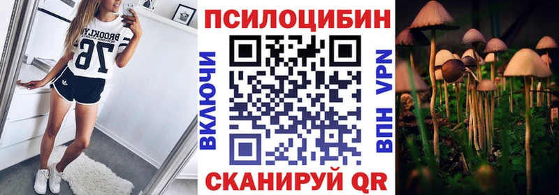 Галлюциногенные грибы Psilocybine cubensis  где купить   Макушино 